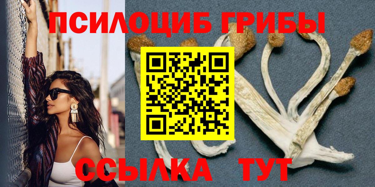 Сызрань  Галлюциногенные грибы Magic Shrooms  Вход с VPN 